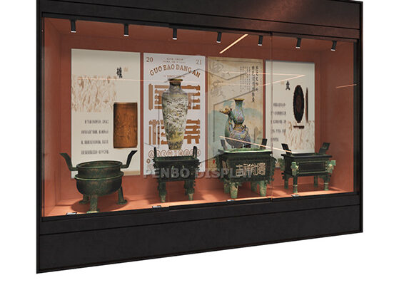 Professional Senior Museum Display Showcase Design