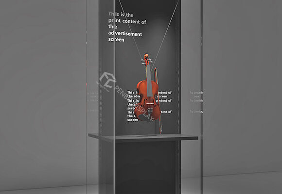 High-end Exhibition Display Cases for Violin