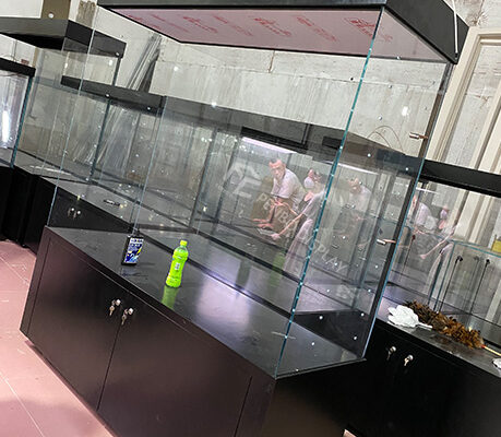 Wholesale Glass Museum Display Cases Japan